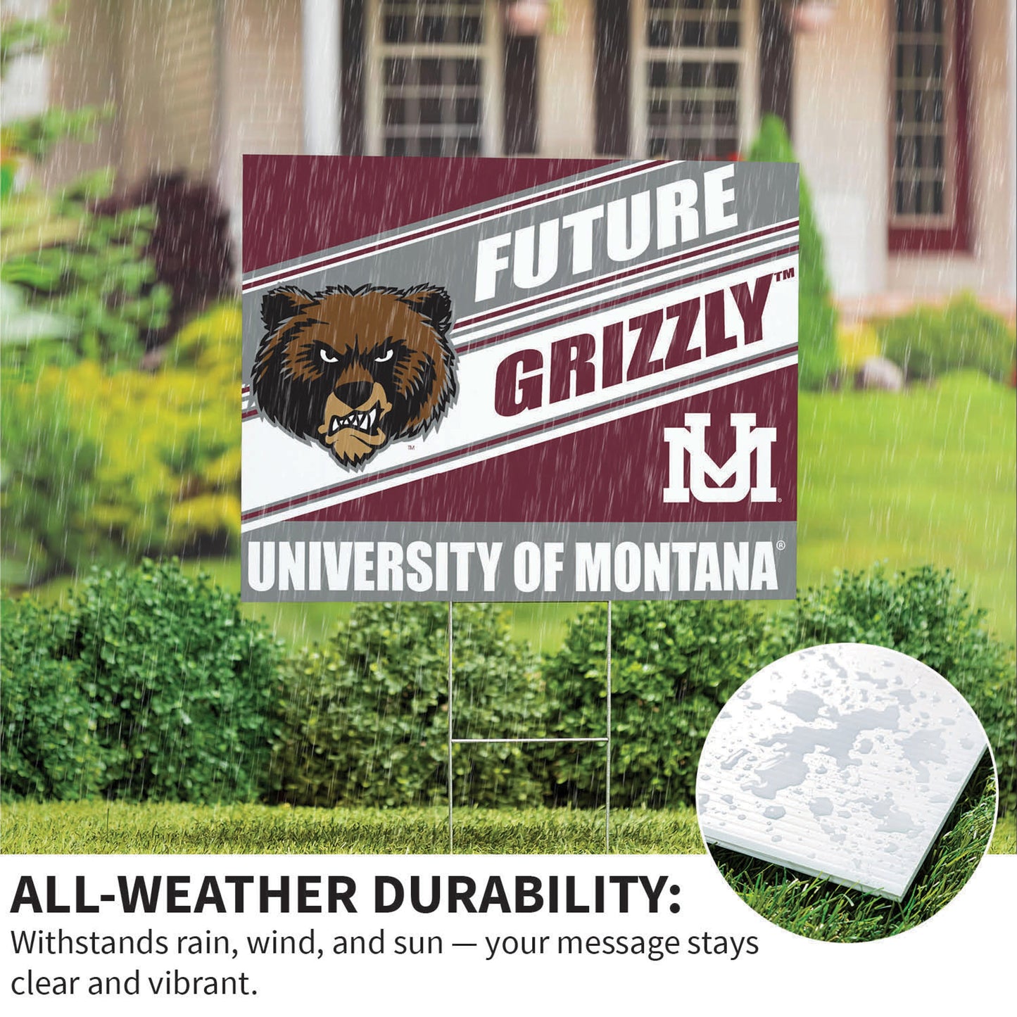 University of Montana Coroplast Yard Sign, Future Student