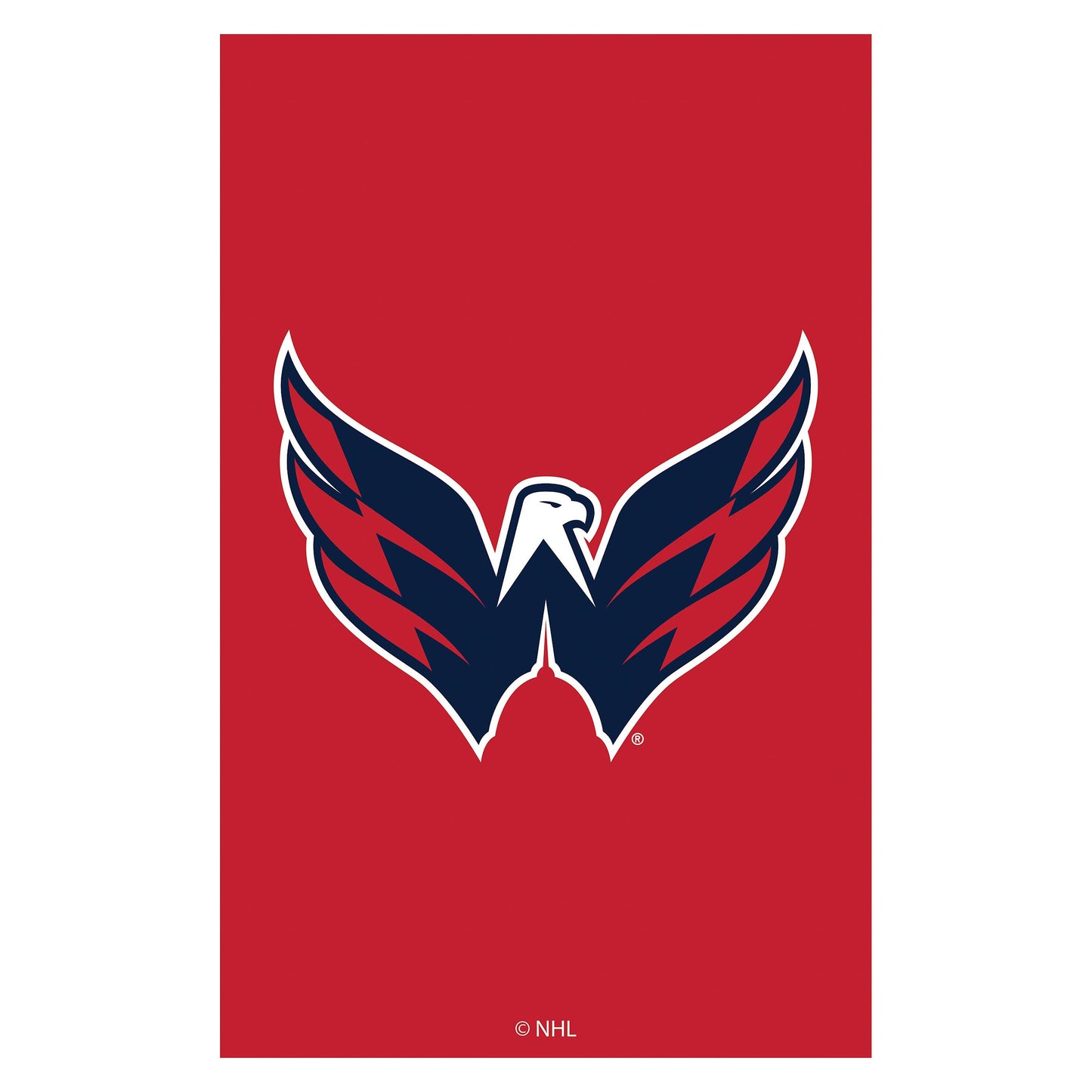 Applique Flag, Reg, Washington Capitals