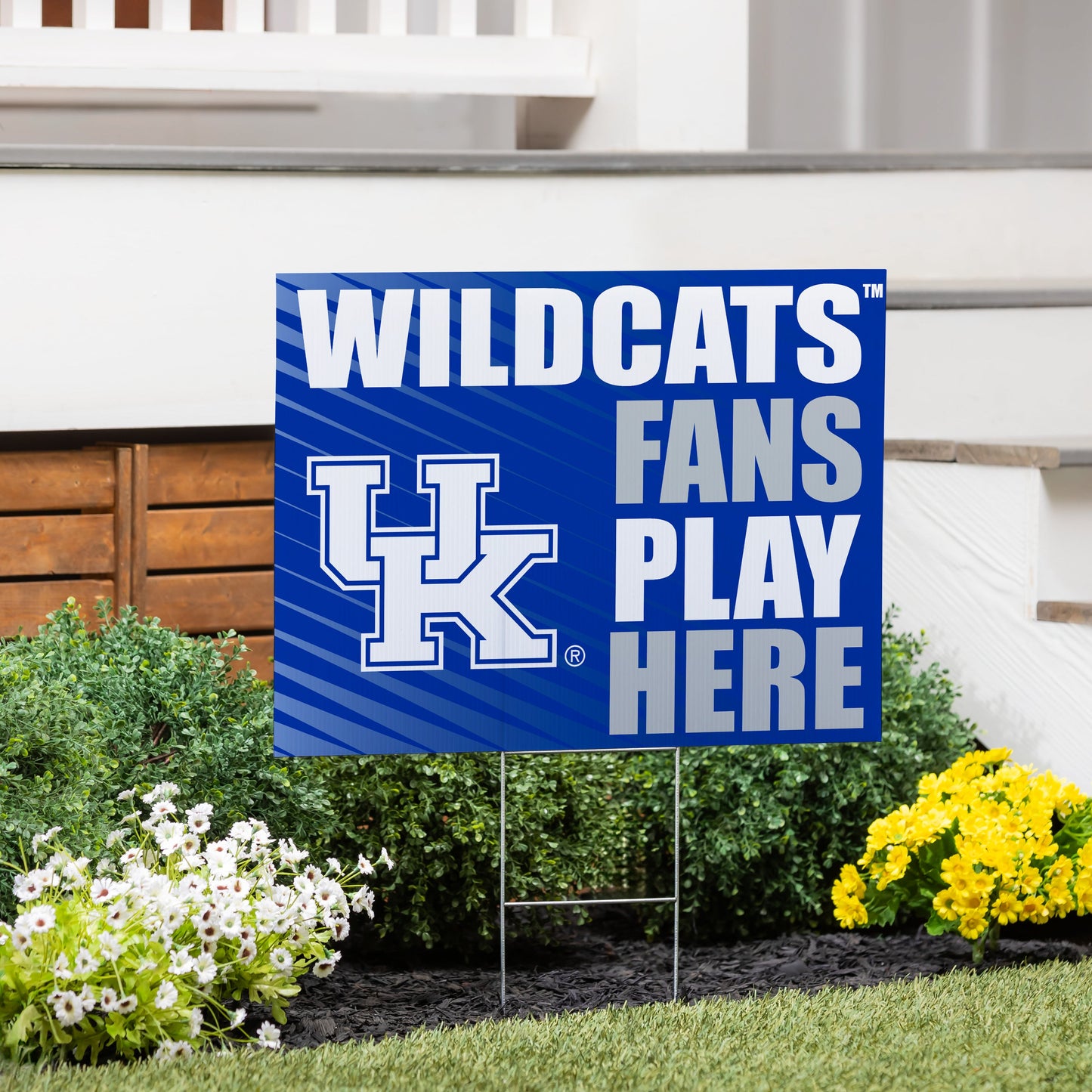 University of Kentucky Coroplast Yard Sign "Fans Play Here"