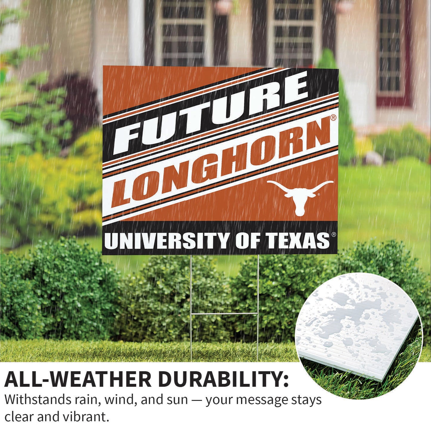 University of Texas Coroplast Yard Sign, Future Student