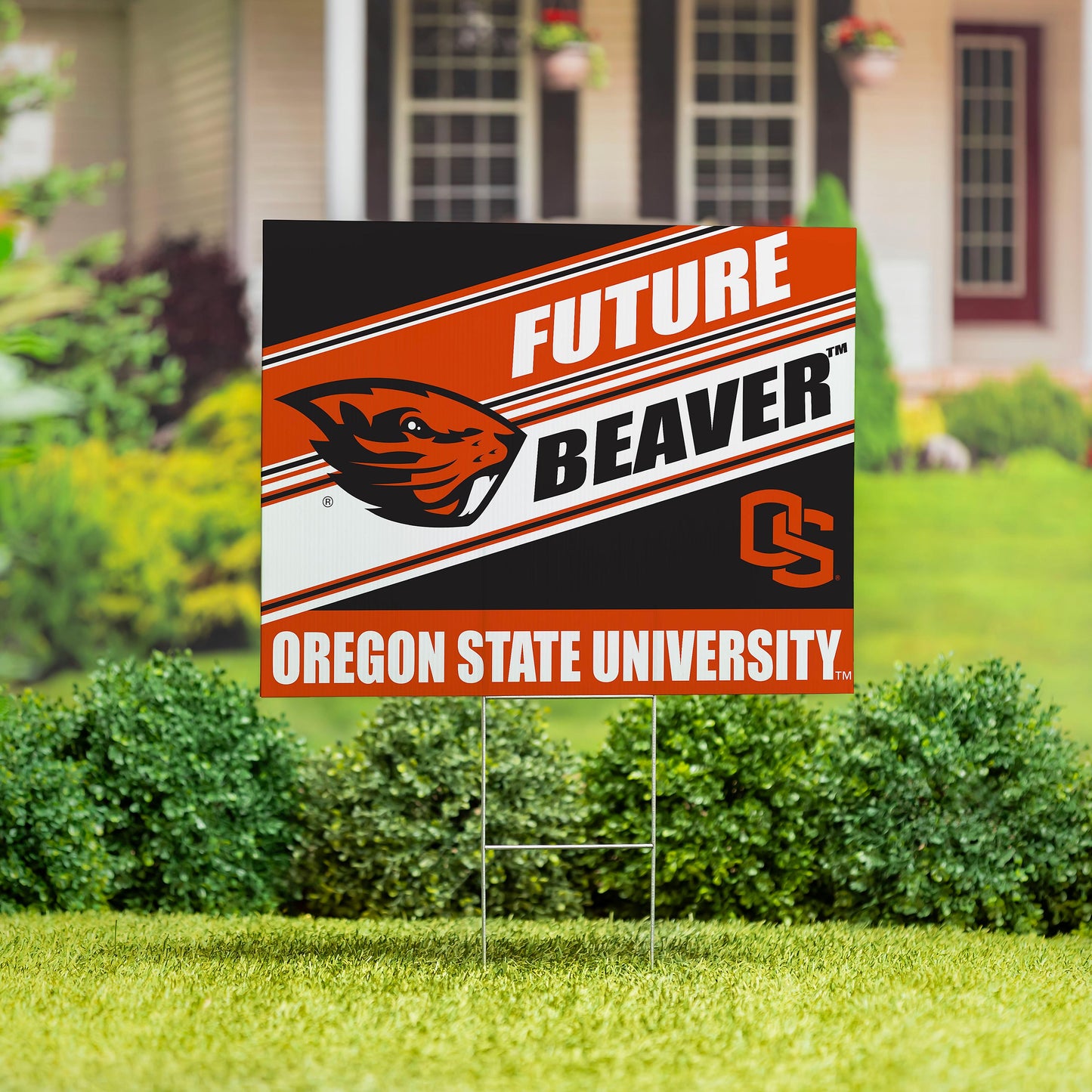 Oregon State University Coroplast Yard Sign, Future Student