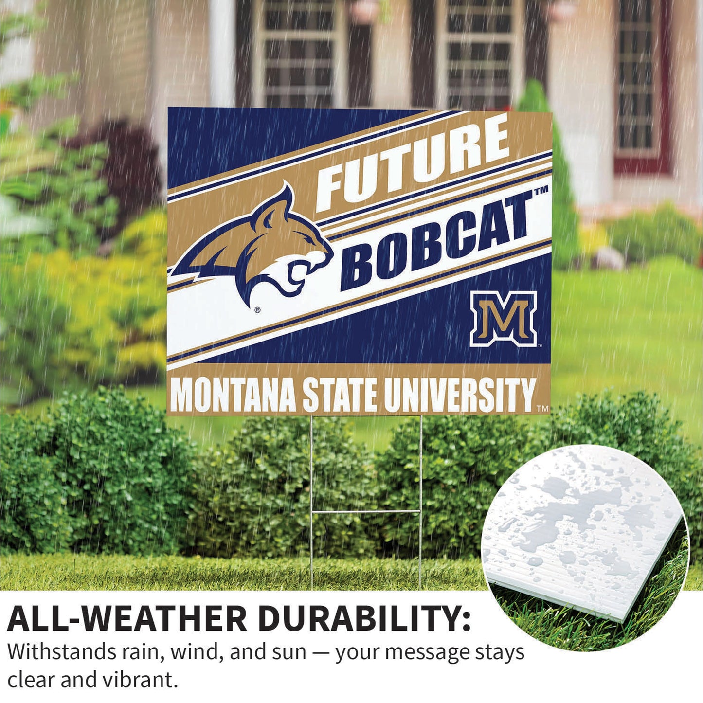 Montana State University Coroplast Yard Sign, Future Student