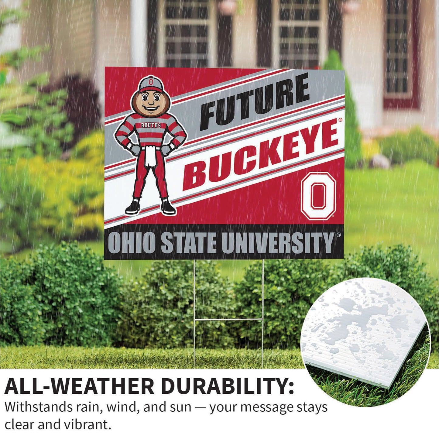 Ohio State University Coroplast Yard Sign, Future Student