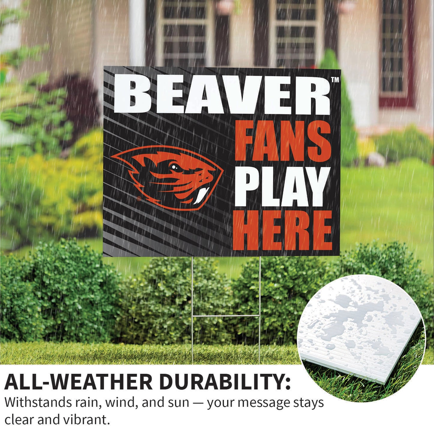 Oregon State University Coroplast Yard Sign "Fans Play Here"