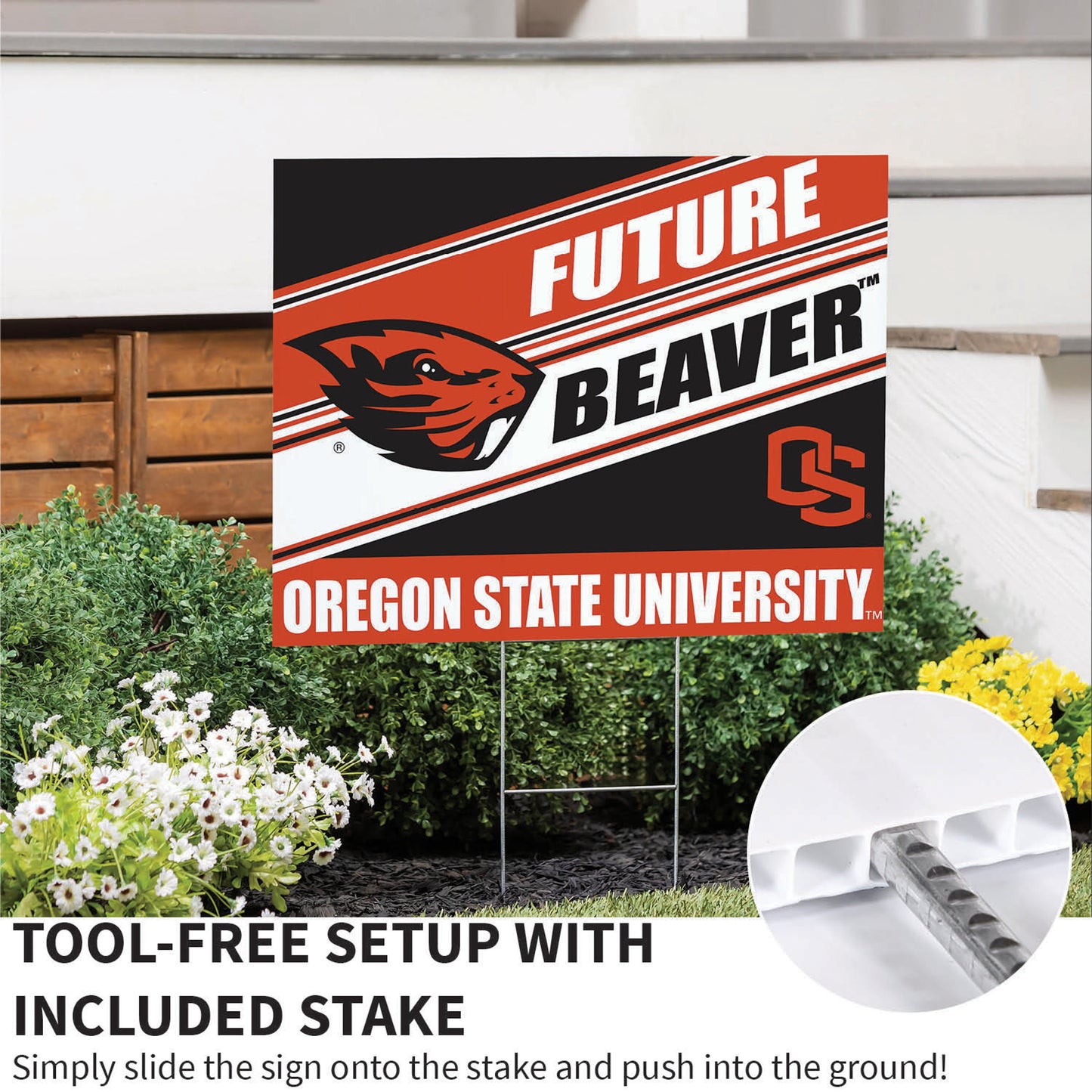 Oregon State University Coroplast Yard Sign, Future Student