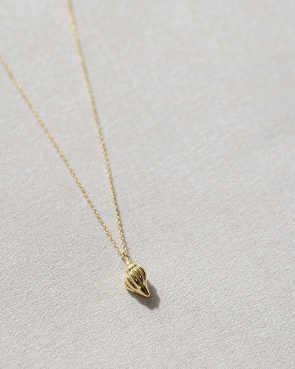 Gold Conch Shell Necklace