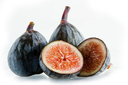 Dwarf Fig Tree "Beer's Black"