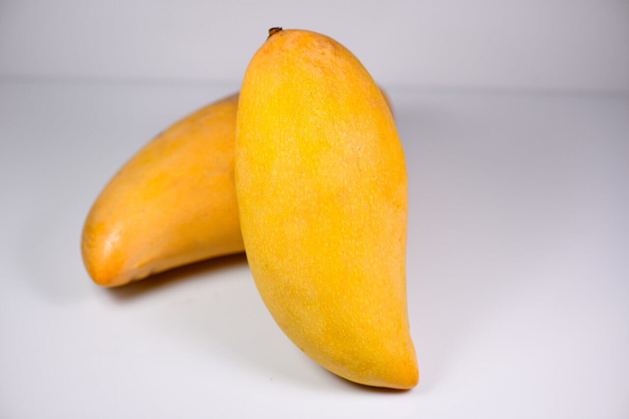 Nam Doc Mai # 4 Dwarf Mango Tree, Grafted