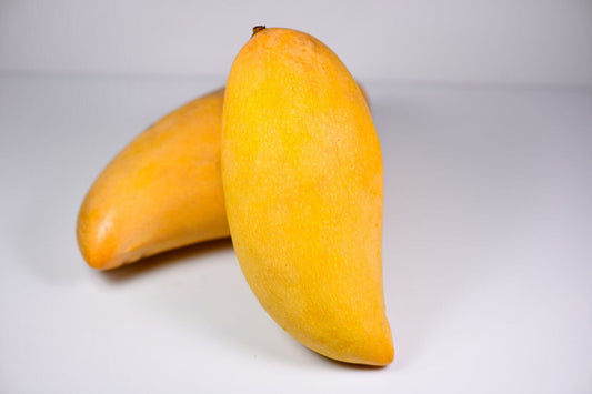Nam Doc Mai # 4 Dwarf Mango Tree, Grafted