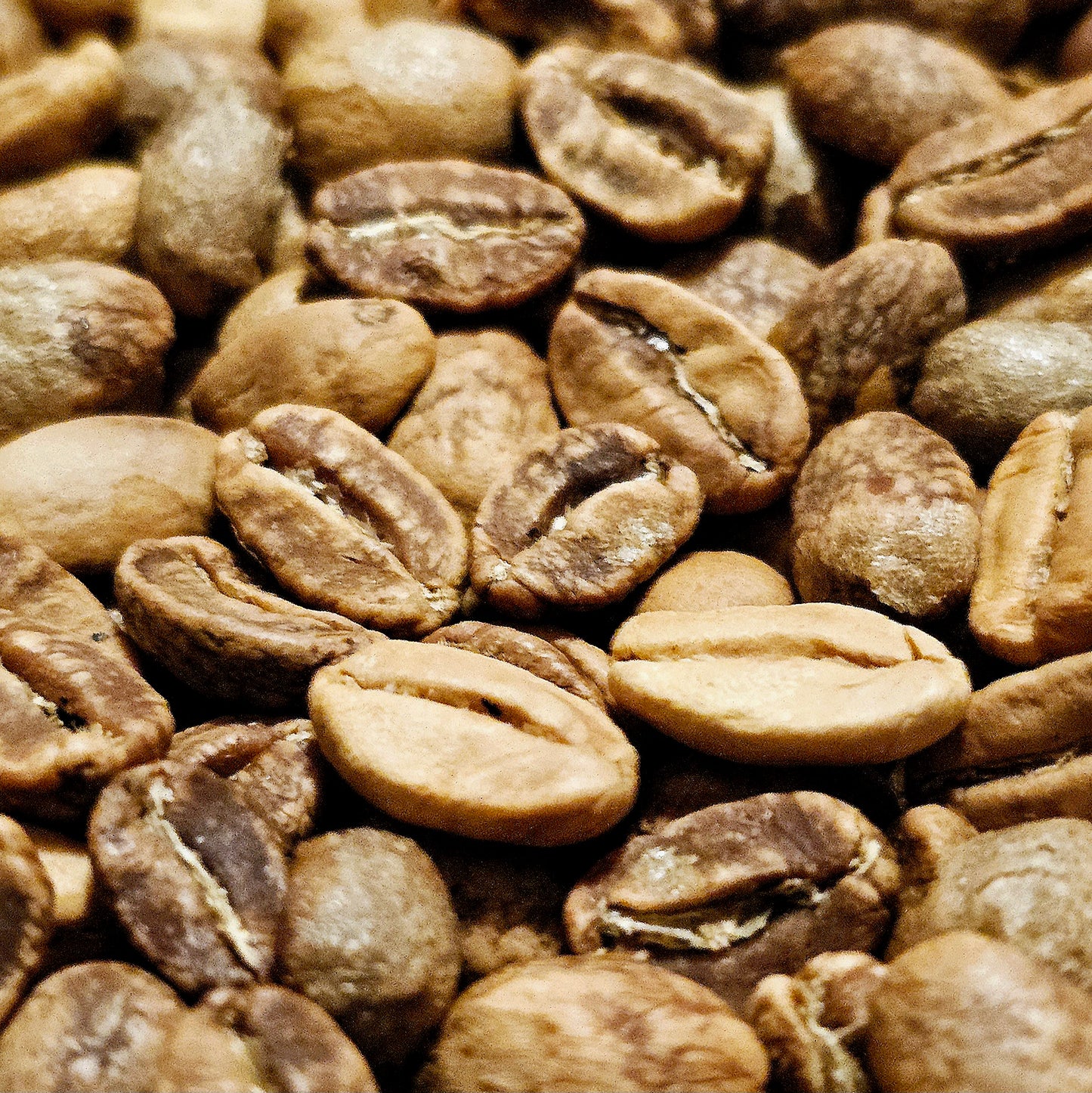 White Espresso – Small Batch • Fresh Roasted • Pre-Order Special