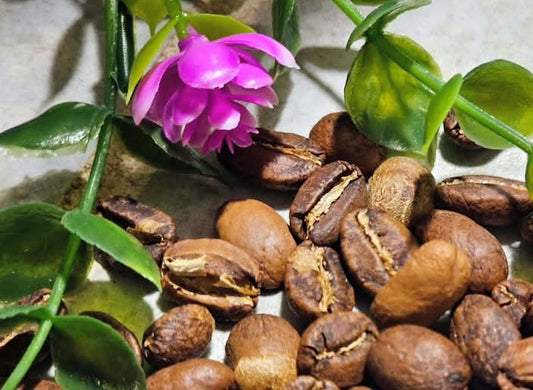 Organic Light Roast Coffee – Small Batch • Fresh Roasted • Roasted to Order